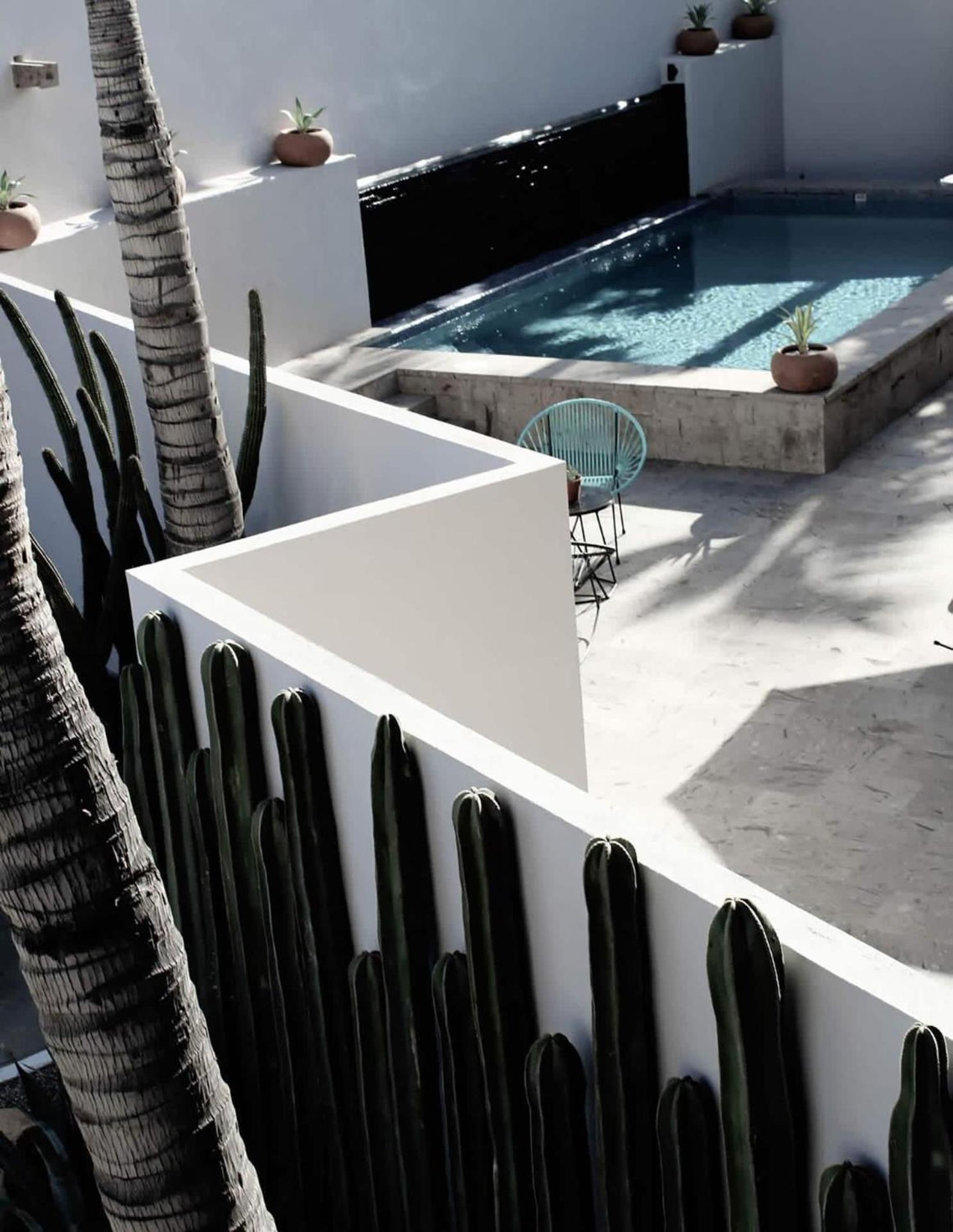 4 Charming Suite King Rooms In Luxurious Boutique Hotel San José del Cabo エクステリア 写真